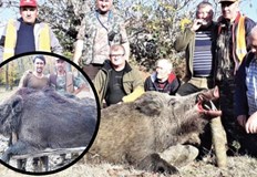 Огромното животно е повалено в местността КаракашЛовец от дружинката в