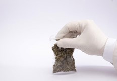 При проверка на управлявания от нея лек автомобил е открита