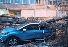 До момента в София няма информация за пострадали хораПродължава да