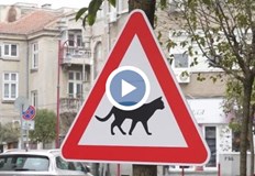 Собственик на магазин поставя необичайния знак заради няколко инцидента с