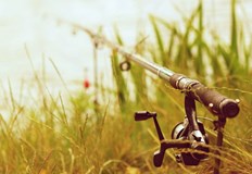 Как рибарите реагират на забранатаМножество софиянци посетиха Панчарево и се