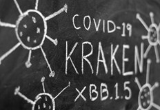 Случаят е установен в СофияВ България е установен за първи