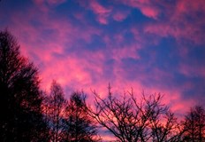 В Швейцария термометрите отчетоха 20 градуса а топлото време засегна