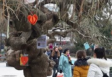 За пета поредна година Сдружение Дунавско сияние ще подари на