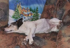 12 годишната Джаки изминала 1300 километра през 4 шенгенски границиСъс щастлив