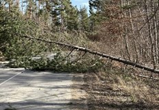 Трафикът се регулира от Пътна полиция Проходът Петрохан е затворен