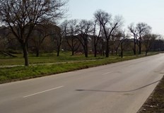 Най близката спирка е на 2 километра липсват тротоари няма поддържане