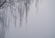 Днес пътищата в страната са предимно мокриОбщо 25 души са