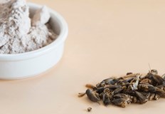 Според описанието на етикета брашното е от големи безкрили щурци