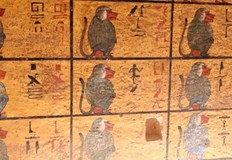 Предполага се че находката датира от 18 тата династия на фараоните