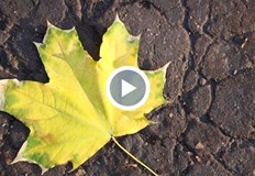 Липсата на влага в почвата застрашава реколтатаСтраната ни преживява най безснежната