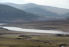 Пролетните температури през зимните месеци едновременно радват и объркват хоратаЛипсата