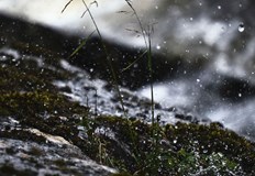 Следобед валежите над цялата страната постепенно ще спиратПрез нощта срещу