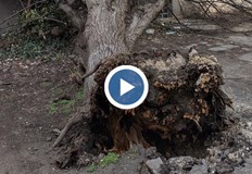 Момичета са седяли на пейка пред блок по време на