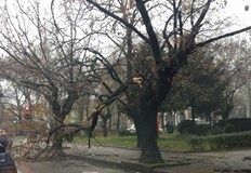 Инцидентите не са причинили жертви и материални щетиЗа изминалите две