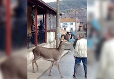 Кошутата стояла близо час при хората в Осиково без да