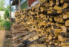 Дървесината е била без контролна горска марка и се съхранявала