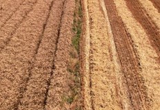 Вдигането на цените на хранителите стоки е заради поскъпването на