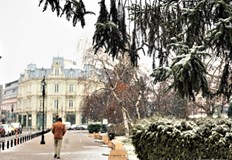 Направени са 3177 теста в цялата странаТрима са новозаразените с