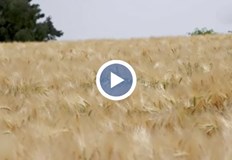 Какво представляват биореакторите Все по трудно е на световното население да се