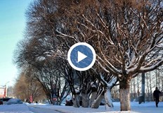 Възможно е тази зима да е най топлата за България откакто