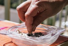 Тютюнопушенето е проблем за света за Европа и особено за