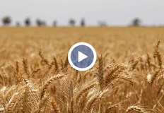 В сектора има много сериозен дебат дали производителите да не