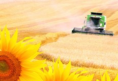 Стоката от Украйна не се проверява за хербициди а там