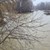 Пет месеца след наводненията отново обявиха бедствено положение в селата Каравелово и Богдан