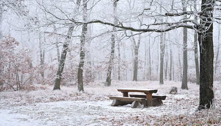 Капризите на Малък Сечко: Ще има ли люта зима през втория месец на годината