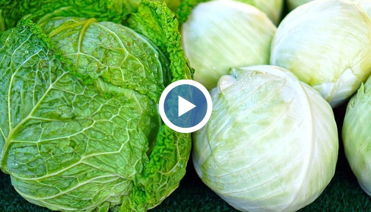 Древните гърци смятали, че зелето е създадено от потта на Зевс