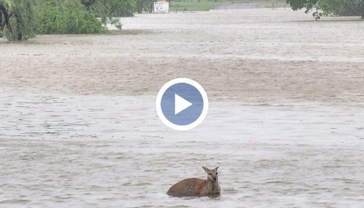 Местните власти обявиха извънредно положение в района