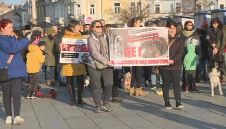 Те преминаха с протестно шествие по централната улица "Александровска" със скандирания за ефективни присъди за насилниците и убийците на кучета и котки