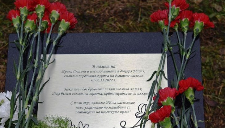 Според областният управител на Русе трябва да има по-сериозни наказания срещу домашните насилници