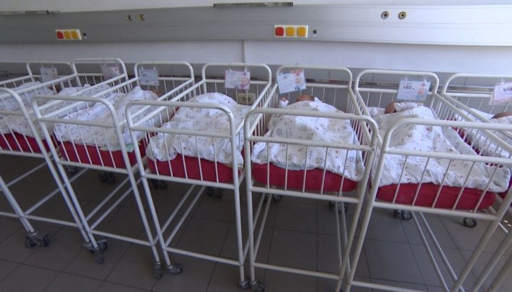 Ще има линк за връзка през интернет разположението на бебетата Ще има линк за връзка през интернет разположението на бебетата