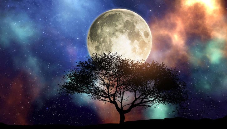 То се очаква на 7 януари