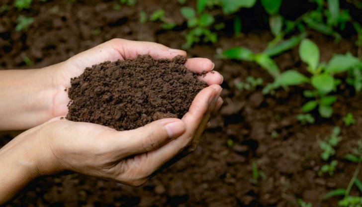 Тялото се поставя в затворен съд заедно с избрани материали като дървени стърготини, люцерна и слама и постепенно се разгражда под действието на микроби Тялото се поставя в затворен съд заедно с избрани материали като дървени стърготини, люцерна и слама и постепенно се разгражда под действието на микроби