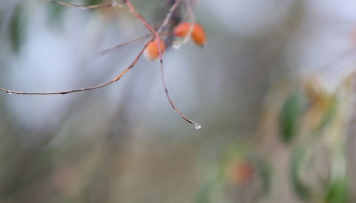 Максималната температура в Русе ще достигне до 17 градуса Максималната температура в Русе ще достигне до 17 градуса