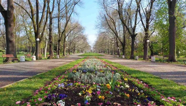 Максималните градуси ще достигат 17 - 19°С Максималните градуси ще достигат 17 - 19°С