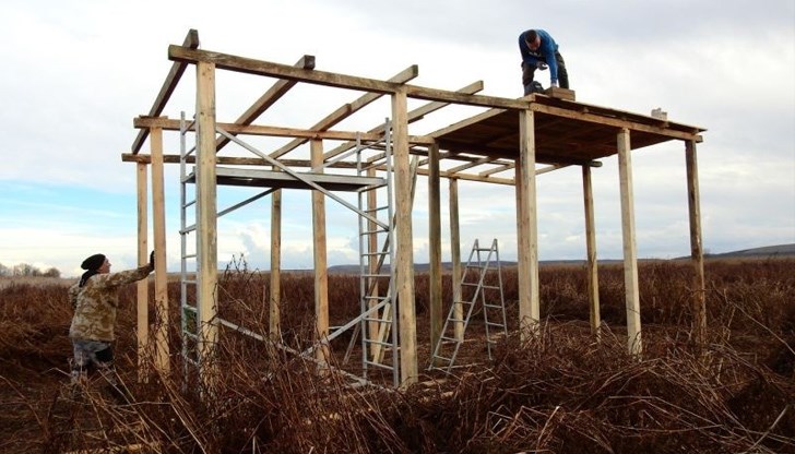 През 2022 година в местността беше регистриран и рекорд – 30 двойки успешно отгледаха 30 малки пеликанчета