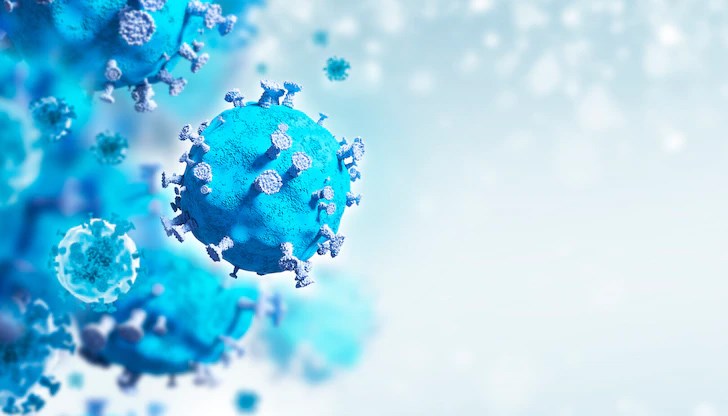 Няма починали с потвърдена коронавирусна инфекция Няма починали с потвърдена коронавирусна инфекция