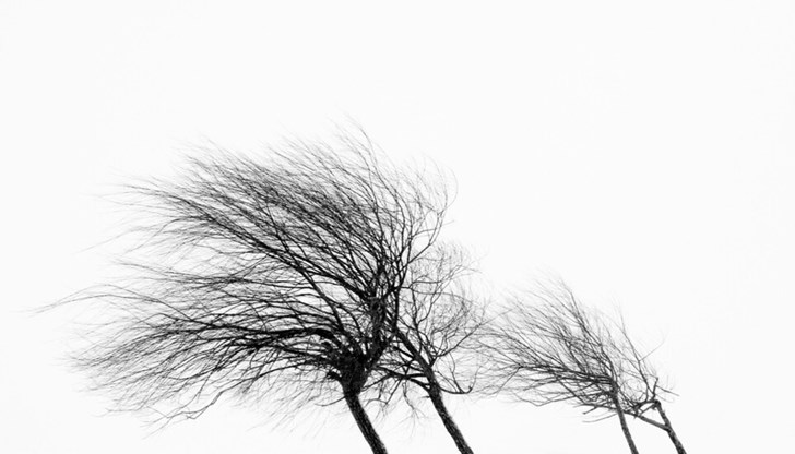 Максималните температури ще са между 15°С и 20°С Максималните температури ще са между 15°С и 20°С