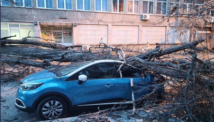 До момента в София няма информация за пострадали хора