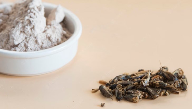 Според описанието на етикета, брашното е от големи, безкрили щурци, има вкус на ядки и е богато на протеини Според описанието на етикета, брашното е от големи, безкрили щурци, има вкус на ядки и е богато на протеини