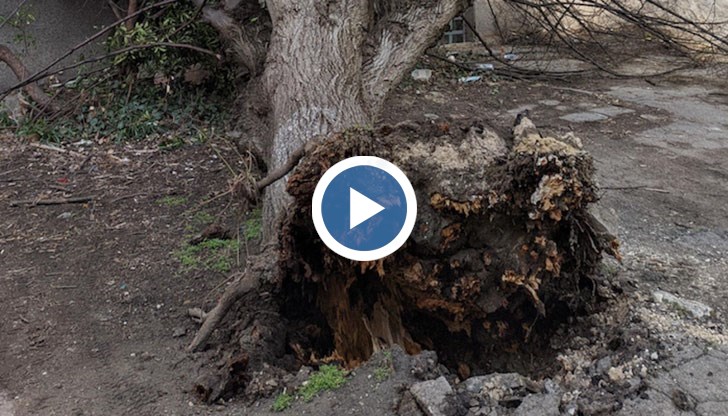 Момичета са седяли на пейка пред блок по време на инцидента