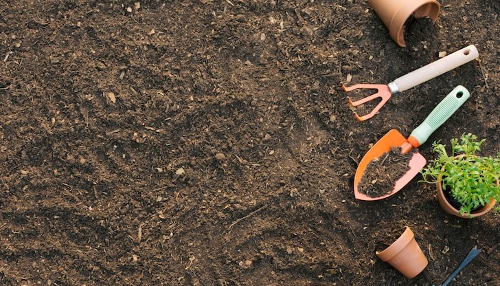 Това са предимно растения със стегнати семена или с дълъг период на развитие от момента на поникване до цъфтеж или плододаване