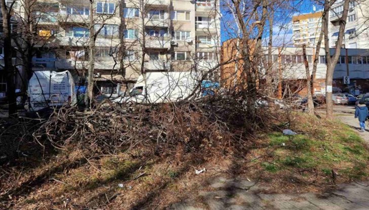 На места поривите надхвърляха 130 км/ч На места поривите надхвърляха 130 км/ч