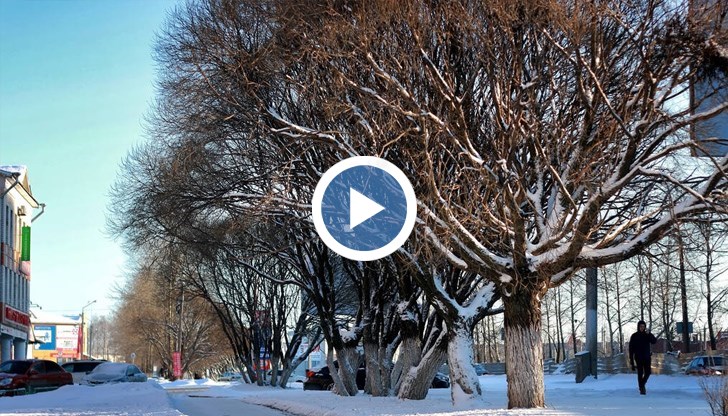 Възможно е тази зима да е най-топлата за България откакто се водят метеорологични наблюдения