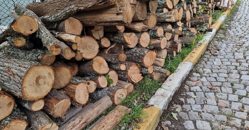 Проверките са част от спецакцията на ОДМВР - РусеВчера в