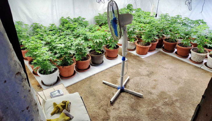 Задържани са мъж и жена, които са привлечени като обвиняеми